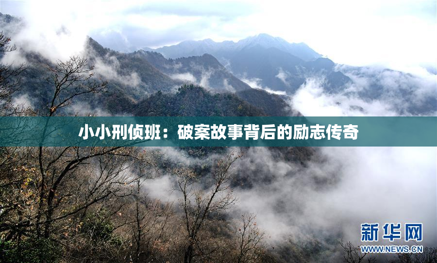 小小刑侦班：破案故事背后的励志传奇