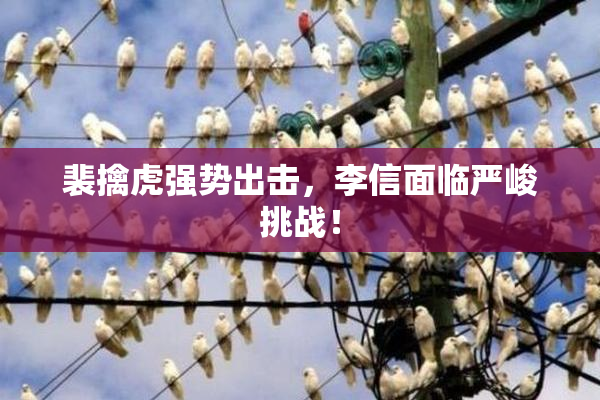 裴擒虎强势出击，李信面临严峻挑战！