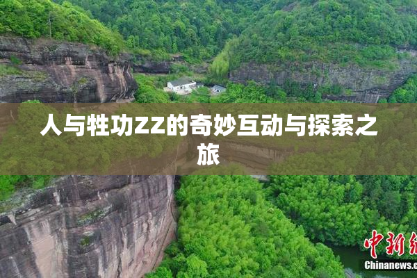 人与牲功ZZ的奇妙互动与探索之旅