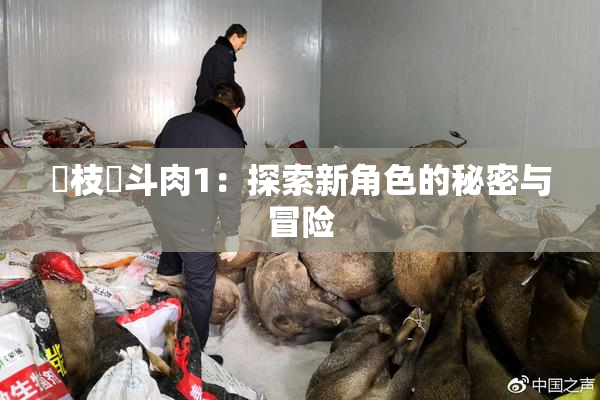 狛枝凪斗肉1：探索新角色的秘密与冒险