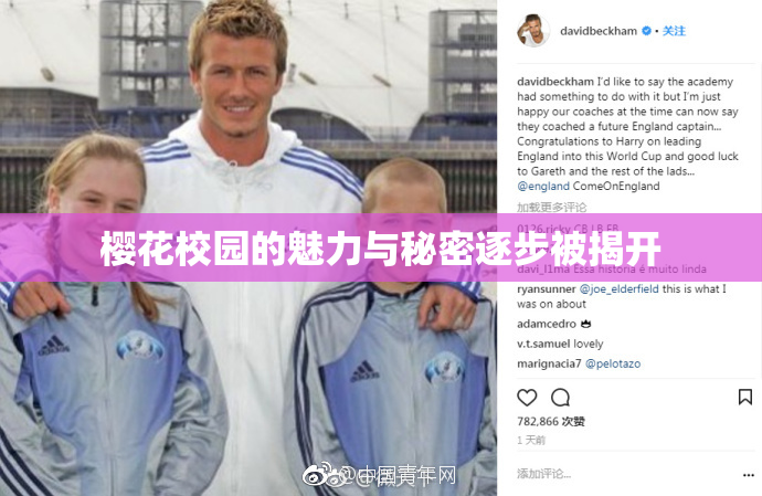 樱花校园的魅力与秘密逐步被揭开