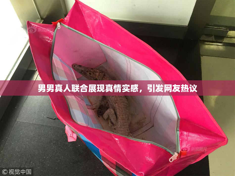 男男真人联合展现真情实感，引发网友热议