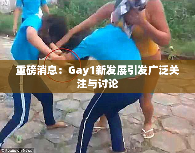 重磅消息：Gay1新发展引发广泛关注与讨论
