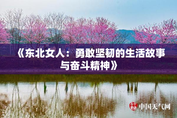《东北女人：勇敢坚韧的生活故事与奋斗精神》