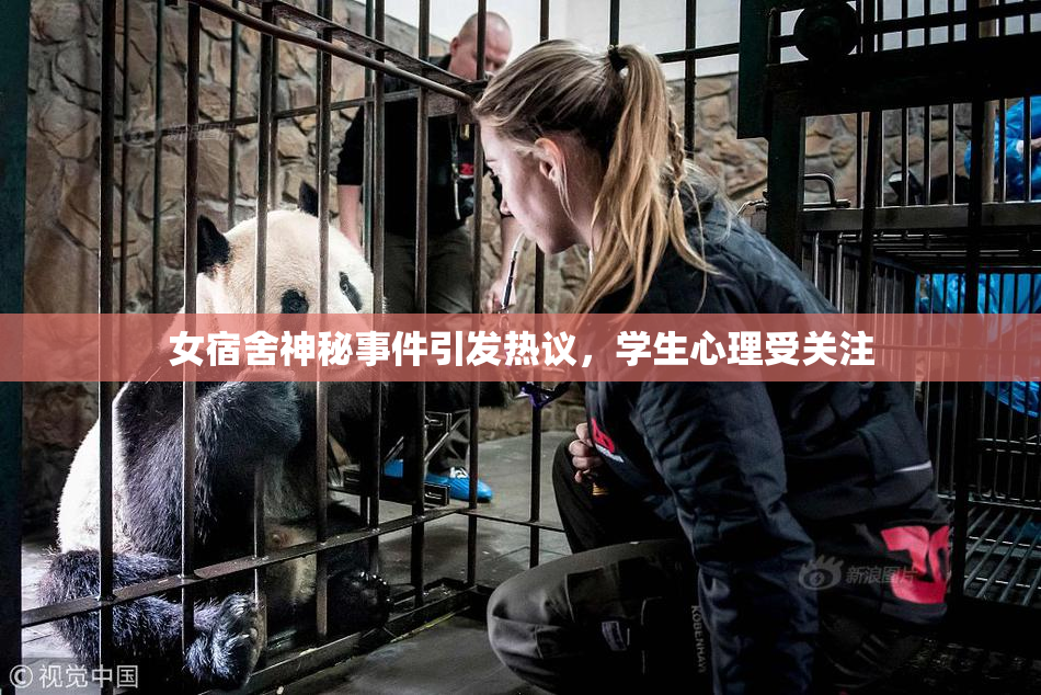 女宿舍神秘事件引发热议，学生心理受关注