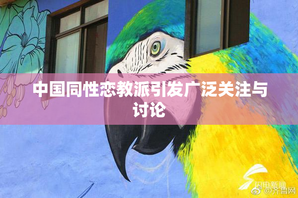 中国同性恋教派引发广泛关注与讨论