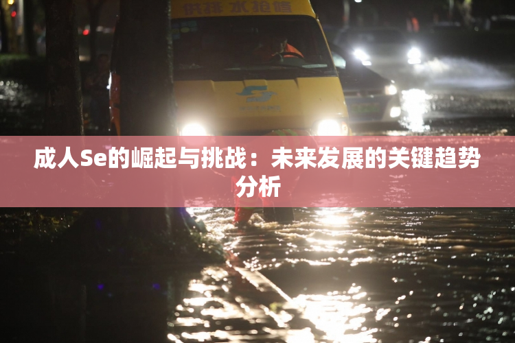 成人Se的崛起与挑战：未来发展的关键趋势分析