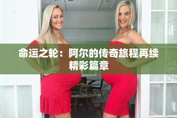 命运之轮：阿尔的传奇旅程再续精彩篇章