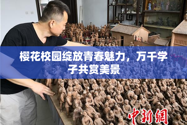 樱花校园绽放青春魅力，万千学子共赏美景