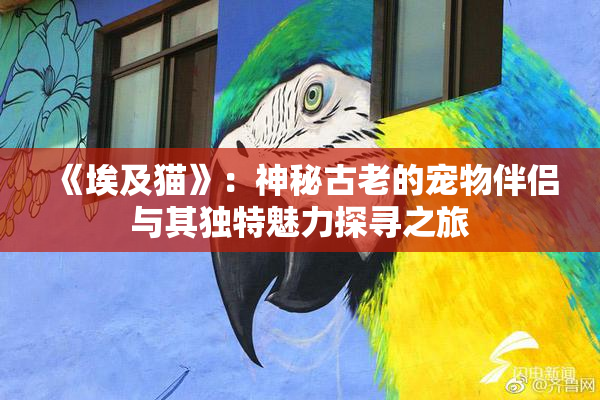 《埃及猫》：神秘古老的宠物伴侣与其独特魅力探寻之旅