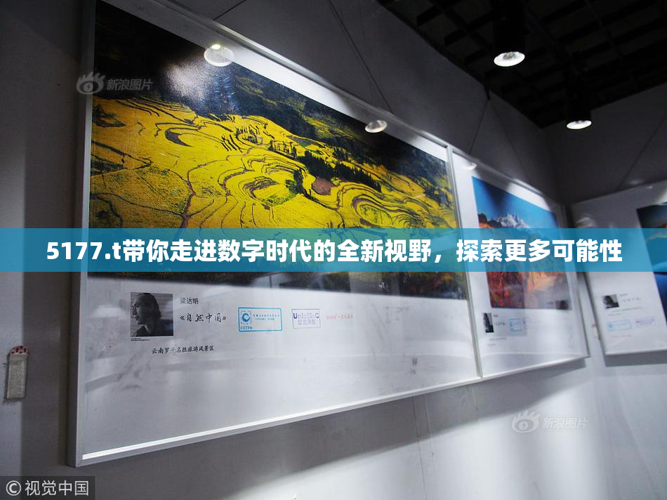 5177.t带你走进数字时代的全新视野，探索更多可能性