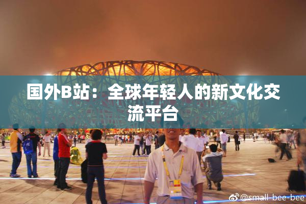 国外B站：全球年轻人的新文化交流平台