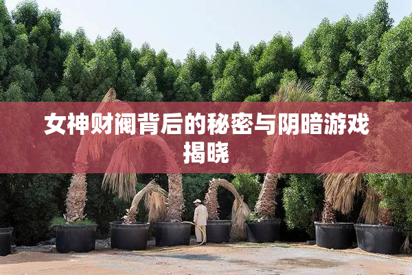 女神财阀背后的秘密与阴暗游戏揭晓