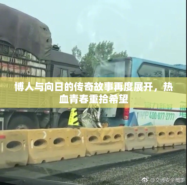 博人与向日的传奇故事再度展开，热血青春重拾希望