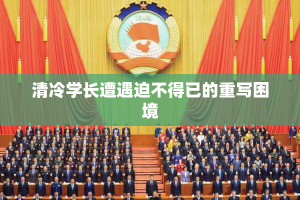 清冷学长遭遇迫不得已的重写困境