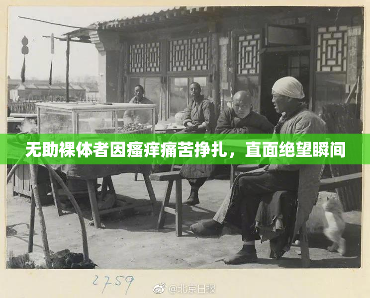 无助裸体者因瘙痒痛苦挣扎，直面绝望瞬间