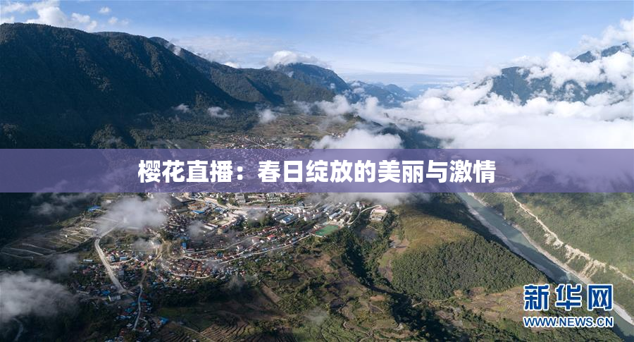 樱花直播：春日绽放的美丽与激情