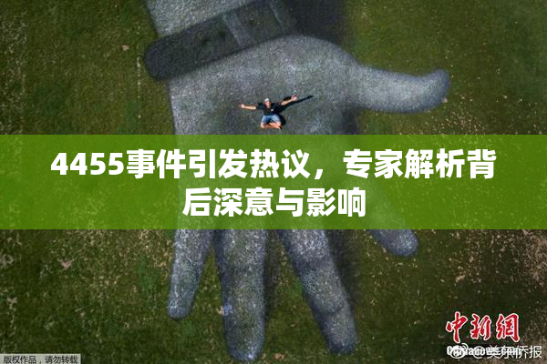 4455事件引发热议，专家解析背后深意与影响