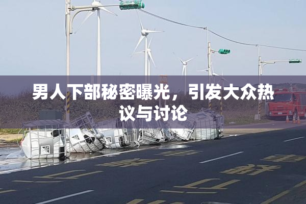 男人下部秘密曝光，引发大众热议与讨论