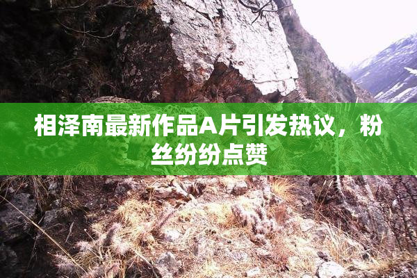 相泽南最新作品A片引发热议，粉丝纷纷点赞
