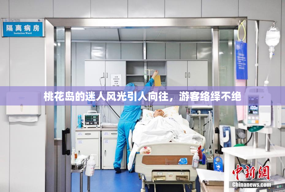 桃花岛的迷人风光引人向往，游客络绎不绝