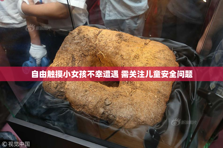 自由触摸小女孩不幸遭遇 需关注儿童安全问题