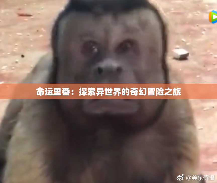 命运里番：探索异世界的奇幻冒险之旅