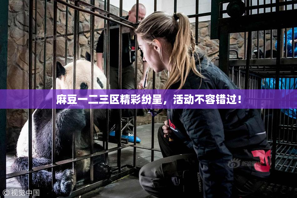 麻豆一二三区精彩纷呈，活动不容错过！
