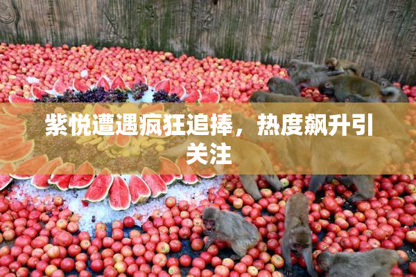紫悦遭遇疯狂追捧，热度飙升引关注