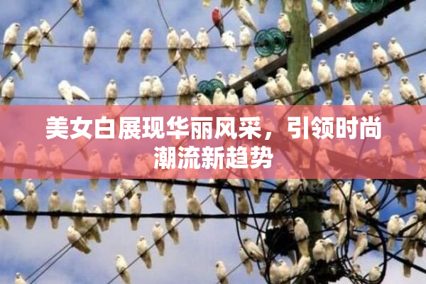 美女白展现华丽风采，引领时尚潮流新趋势