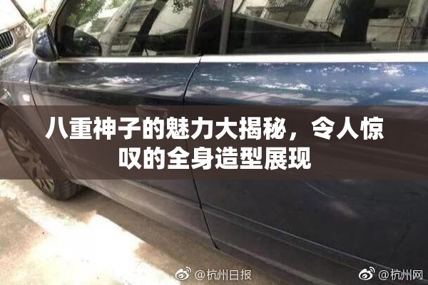 八重神子的魅力大揭秘，令人惊叹的全身造型展现