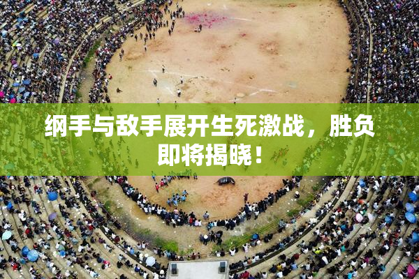 纲手与敌手展开生死激战，胜负即将揭晓！