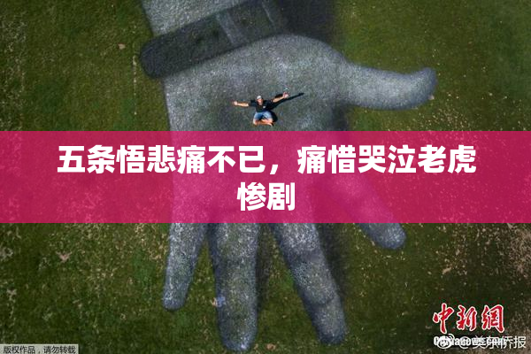 五条悟悲痛不已，痛惜哭泣老虎惨剧