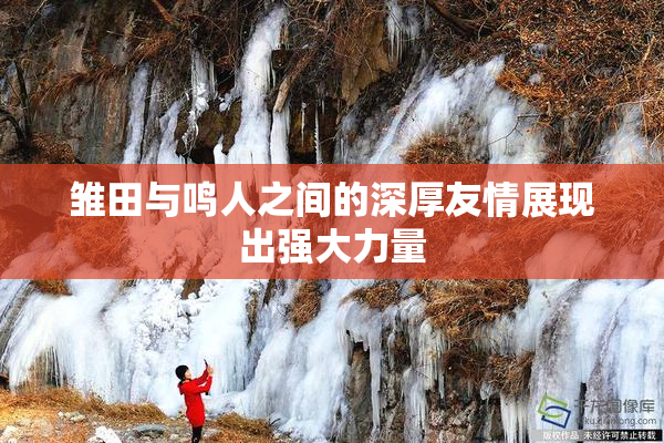 雏田与鸣人之间的深厚友情展现出强大力量