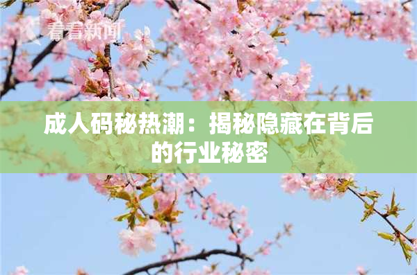 成人码秘热潮：揭秘隐藏在背后的行业秘密