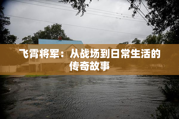 飞霄将军：从战场到日常生活的传奇故事