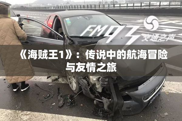 《海贼王1》：传说中的航海冒险与友情之旅