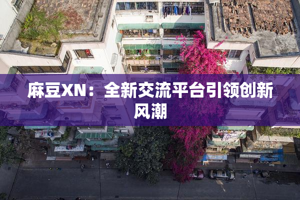 麻豆XN：全新交流平台引领创新风潮