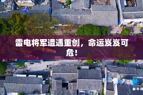 雷电将军遭遇重创，命运岌岌可危！