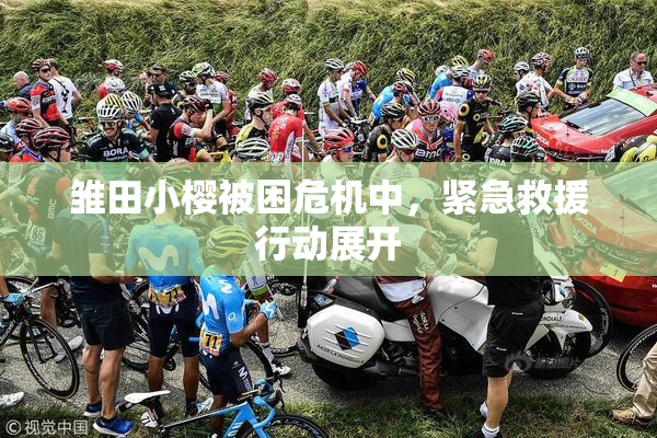 雏田小樱被困危机中，紧急救援行动展开