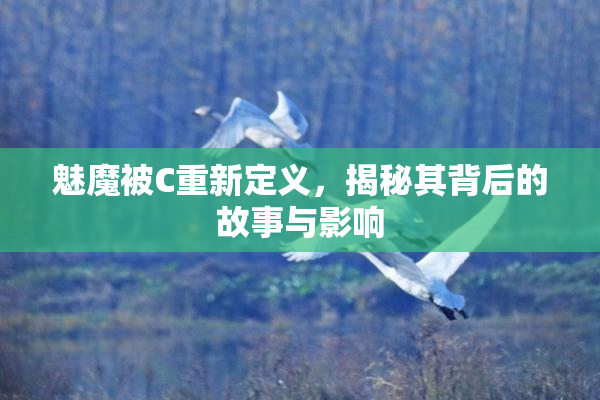 魅魔被C重新定义，揭秘其背后的故事与影响