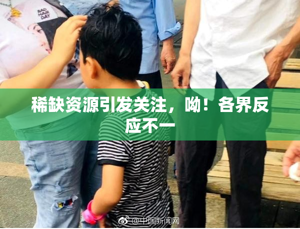 稀缺资源引发关注，呦！各界反应不一