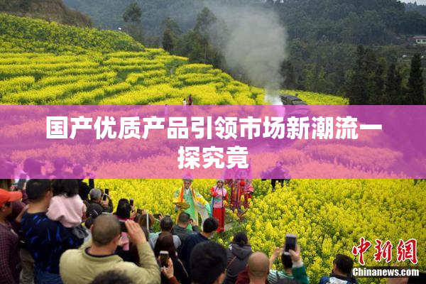 国产优质产品引领市场新潮流一探究竟