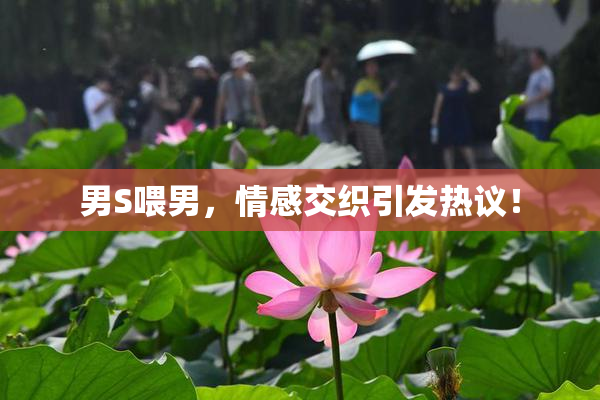 男S喂男，情感交织引发热议！