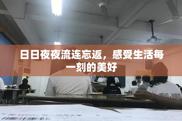 日日夜夜流连忘返，感受生活每一刻的美好