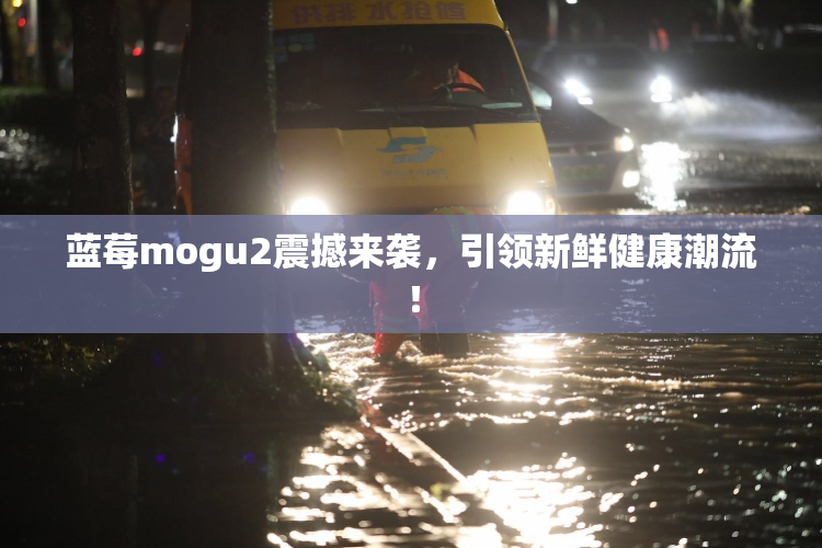 蓝莓mogu2震撼来袭，引领新鲜健康潮流！