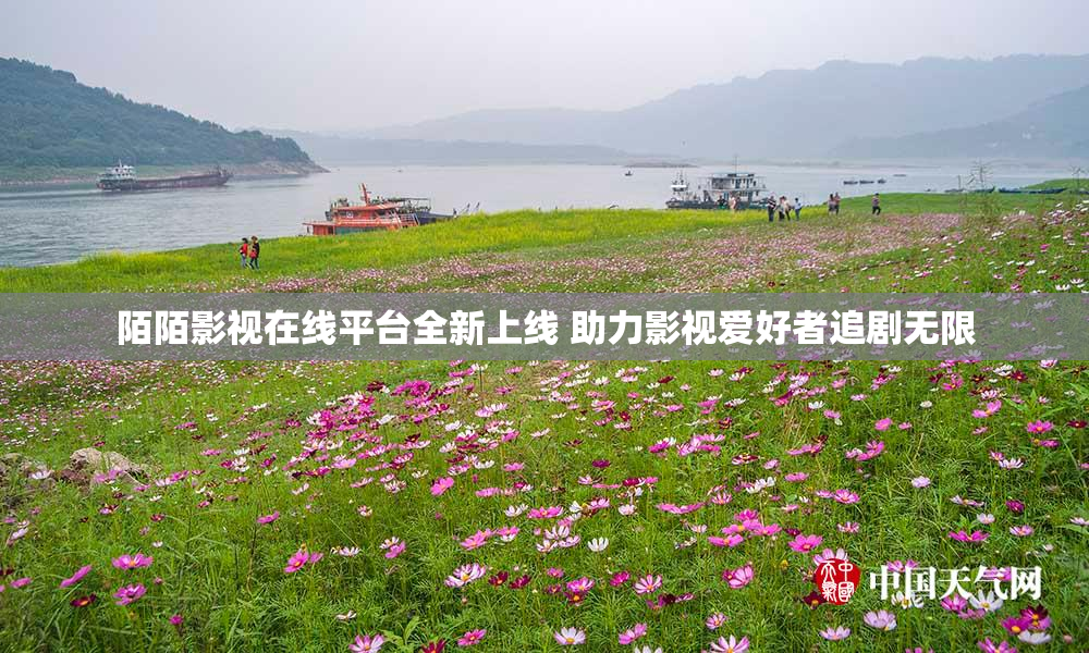 陌陌影视在线平台全新上线 助力影视爱好者追剧无限