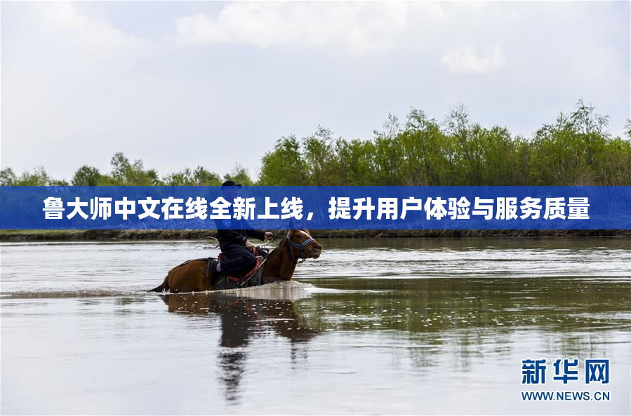 鲁大师中文在线全新上线，提升用户体验与服务质量
