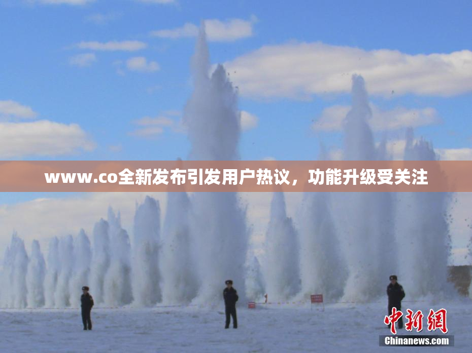 www.co全新发布引发用户热议，功能升级受关注