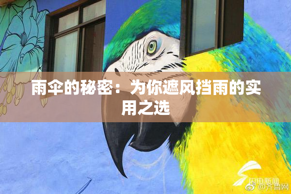 雨伞的秘密：为你遮风挡雨的实用之选